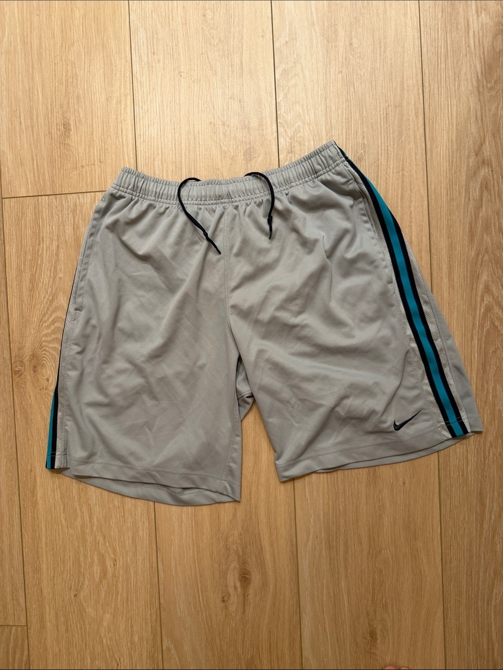 Nike Men’s Light Gray Athletic Shorts with Teal and Black Side Stripes